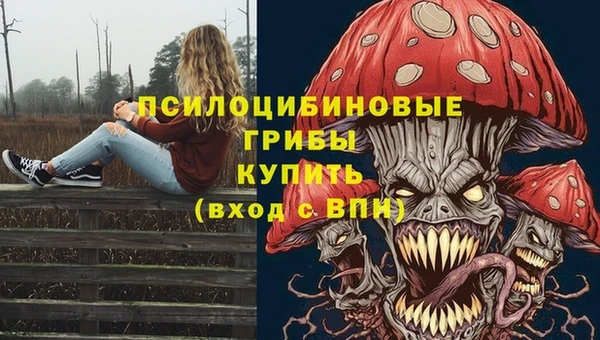 винт Алексин