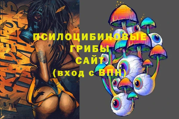 мдпв Алзамай