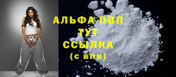 винт Алексин