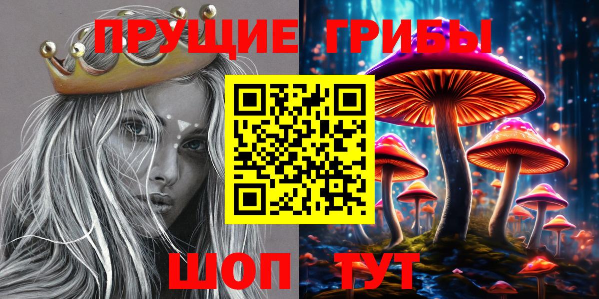 Псилоцибиновые грибы GOLDEN TEACHER Североуральск