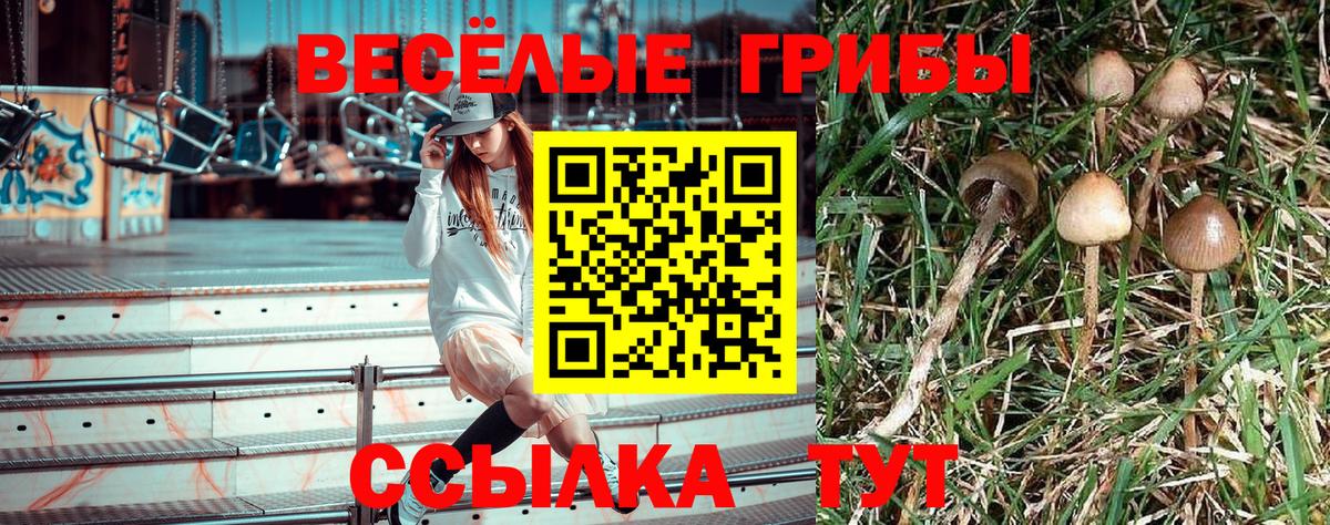 Североуральск  Галлюциногенные грибы GOLDEN TEACHER  Вход с VPN 